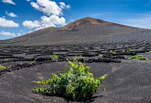 lageria_08_lr_c_turismo_lanzarote.220x150.jpg