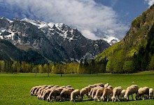 f001066-logarska_dolina_darinka_mladenovic_4072_orig_jpg-photo-m.220x150.jpg